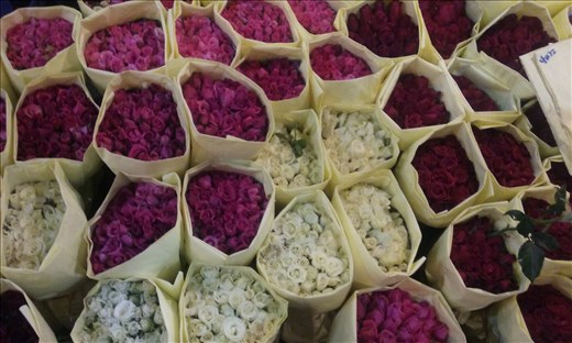 flowers at the flower market