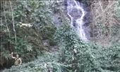 waterfall: by aceite4, Views[372]