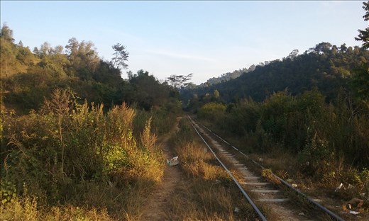 We walked at least a mile along tracks to a station where we stopped for more tea and cookies