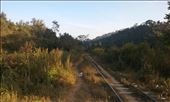 We walked at least a mile along tracks to a station where we stopped for more tea and cookies: by aceite4, Views[282]