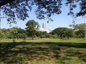 Lumpini Park: by aceite4, Views[264]