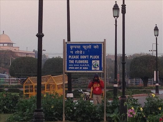 please dont pluck the flowers