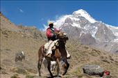 An 'arriero' (muleteer or mule driver) steadies his horse: by aconcagua, Views[567]