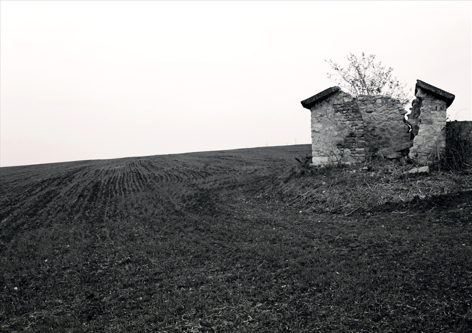 Then in the distance I saw an abandoned house, maybe struck by lightning.