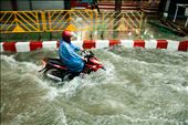 When flash floods hit during monsoon season it's business as usual, armed with nothing but a waterproof poncho this man navigates the newly formed canals of Bangkok on his moped.: by adam_moffatt, Views[589]