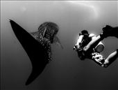 by adamcw, Views[347]