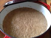 That's the power of fermentation.: by adamhcallaghan, Views[249]