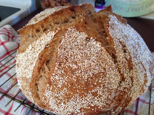 This bread is resilient and delicious. It won't allow failure.