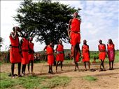 The Masai: by adammck, Views[328]