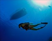 by adamwalters, Views[262]