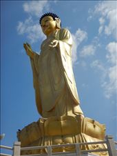 by adaptive, Views[197]