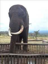 by addison90, Views[185]