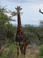 by addison90, Views[160]