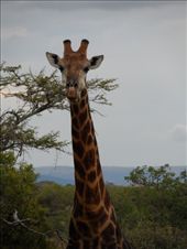 by addison90, Views[292]