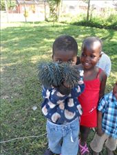 by addison90, Views[188]