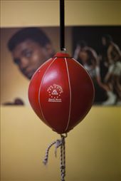 Double-End Bag: by adeleobyrne, Views[294]