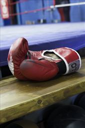 Boxing Glove: by adeleobyrne, Views[325]