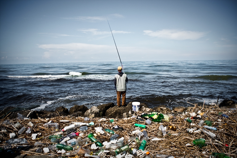 Mondragone. No fish for dinner