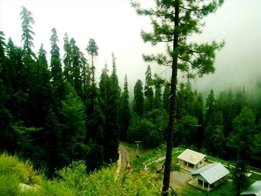 Among one of the most beautiful places i have ever seen in Pakistan. the place where its winter 8 months a year and the rest it remains cool but i never saw summer there. walking there is like walking in the clouds in spring and during winter this all green is covered in white. one of my favourite places i want to photograph. NATHIAGALI PAKISTAN. This place has all the colours of nature and a great attraction for the photographers.