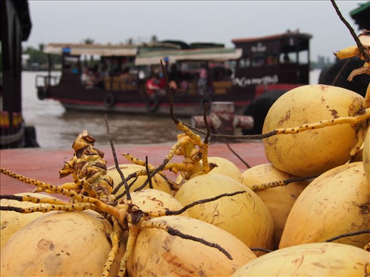 Ever moving Mekong River were food and Island transport is always on the go