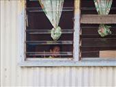 Looking out from her bedroom window this little girl has no protection: by adora, Views[454]