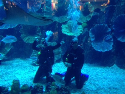 Me and my son in the Dubai Mall Aquarium. I'm looking trim, he opts for cool.