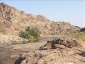Travelling through the mountains from Oman to Al Ain in the UAE: by adrian, Views[128]