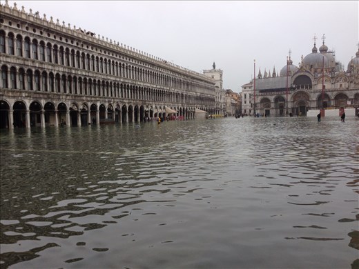 How long can this city survive! Visit soon.