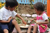 A plate for two. The older brother shares his food to his sister during a feedin: by adventure4ever, Views[253]