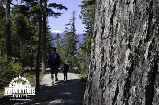 In the forest is where we grow our family roots. 