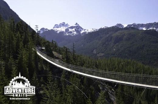 The suspension bridge led the family from 