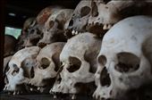 Many of the mass graves were  excavated, with hundreds more still uncovered. Skulls are used for the main purpose of data collection and identification. Many of the skulls were found with holes and cracks in them from the various inhuman execution methods. : by adventurelens, Views[308]