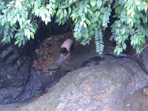 Dan Private Waterfall Grotto