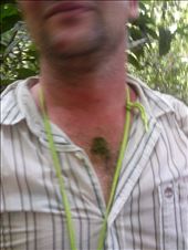 orangutan poo: by adventurers, Views[1385]