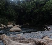 by adventurers, Views[1305]