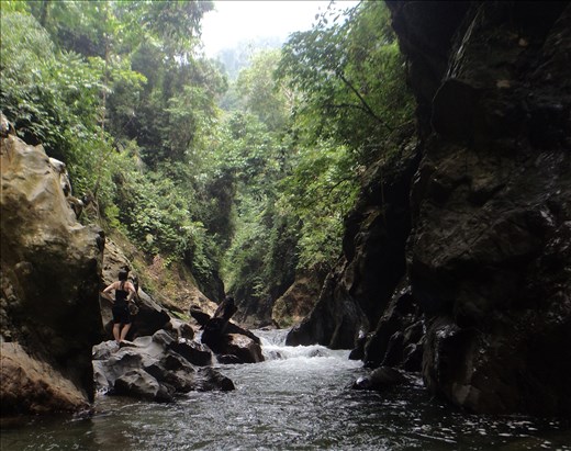 River.  Tangkahan.  During our gorge walk.