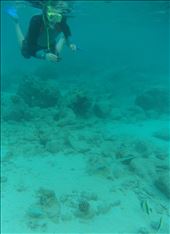 Dave snorkelling with a Long Tom fish.  Iboih, Sabang.  (Pulau Weh).: by adventurers, Views[1157]