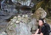 Tana Toraja B skulls: by adventurers, Views[591]