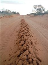 road. sandy.: by adventurers, Views[350]