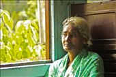 Elderly local woman riding the train from Colombo to Kandy. I wonder what she’s : by adventurestib, Views[500]