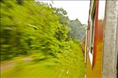 The train from Colombo to Kandy was introduced in 1864 by the British to transfe: by adventurestib, Views[307]