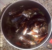 All in: by advenus, Views[290]