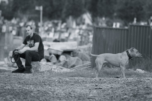  A young man mourns with his past and present. Love dies only if we allow it. 


