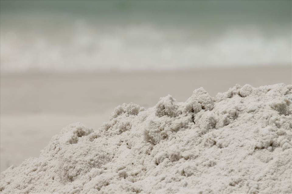 The soft Gulf Coast sand piled like brown sugar along the Destin shore.