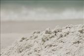 The soft Gulf Coast sand piled like brown sugar along the Destin shore.: by afernandez, Views[250]