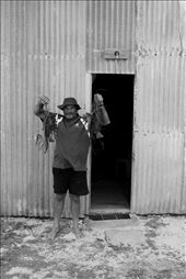 The Western Rock Lobster: 5.5 million kilograms of these are pulled from Australian waters each year. Most are exported to China, Japan and America and can fetch up to AU$45 a kilogram.: by afn, Views[457]