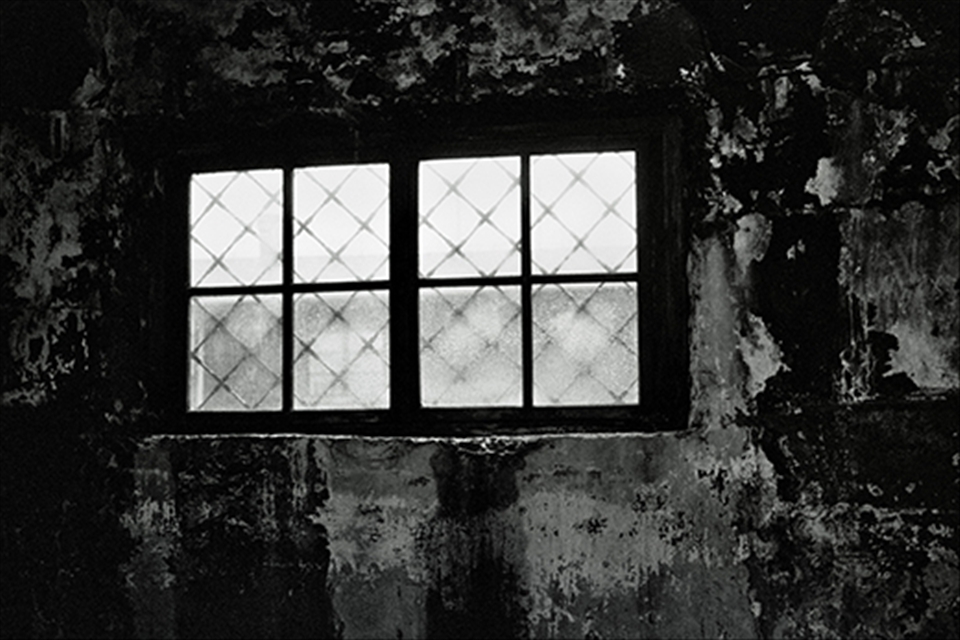 The view from inside a cremation chamber; it was small and suffocating. I found the only way to not break down with emotion was to look out this tiny window.