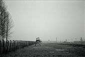 No escape. Guard towers at Birkenau were located around the site to ensure no prisoners could escape. Only five escapees are documented during Birkenau’s operation. : by afn, Views[688]