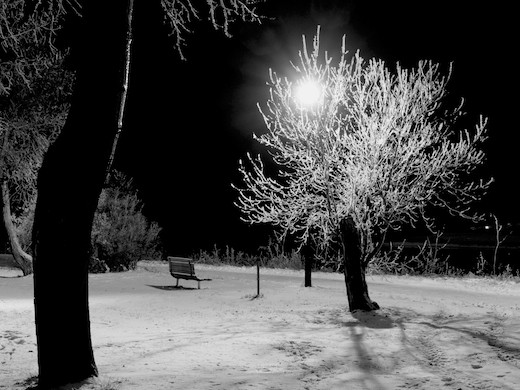 Public spaces transform into vacant lonely expanses in the depths of winter.
