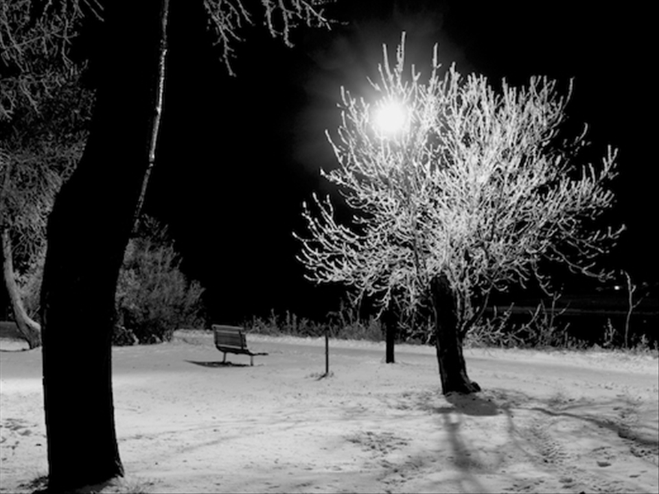 Public spaces transform into vacant lonely expanses in the depths of winter.